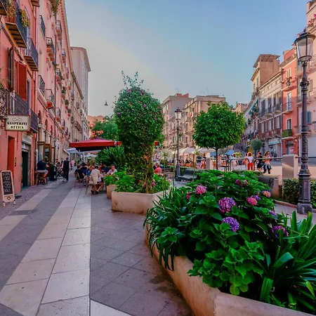 Pensión Le Sul Corso *